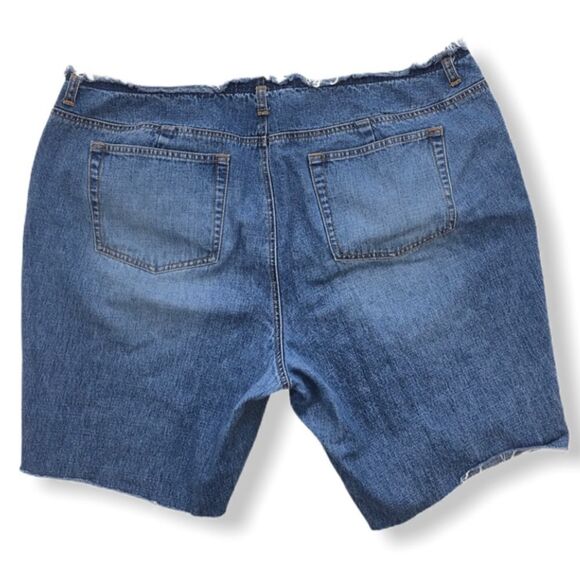 Venezia Raw Hem Cut Off Jean Shorts - Picture 2 of 6